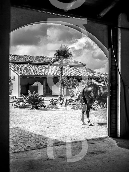 Donana