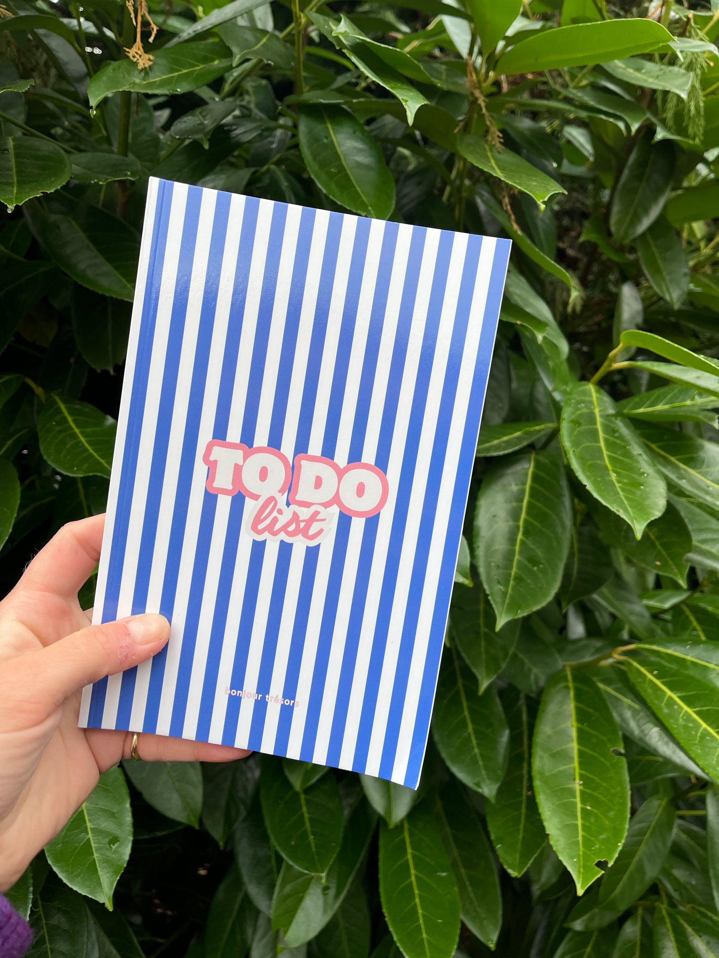 Carnet de notes "To do list" - rayures bleues