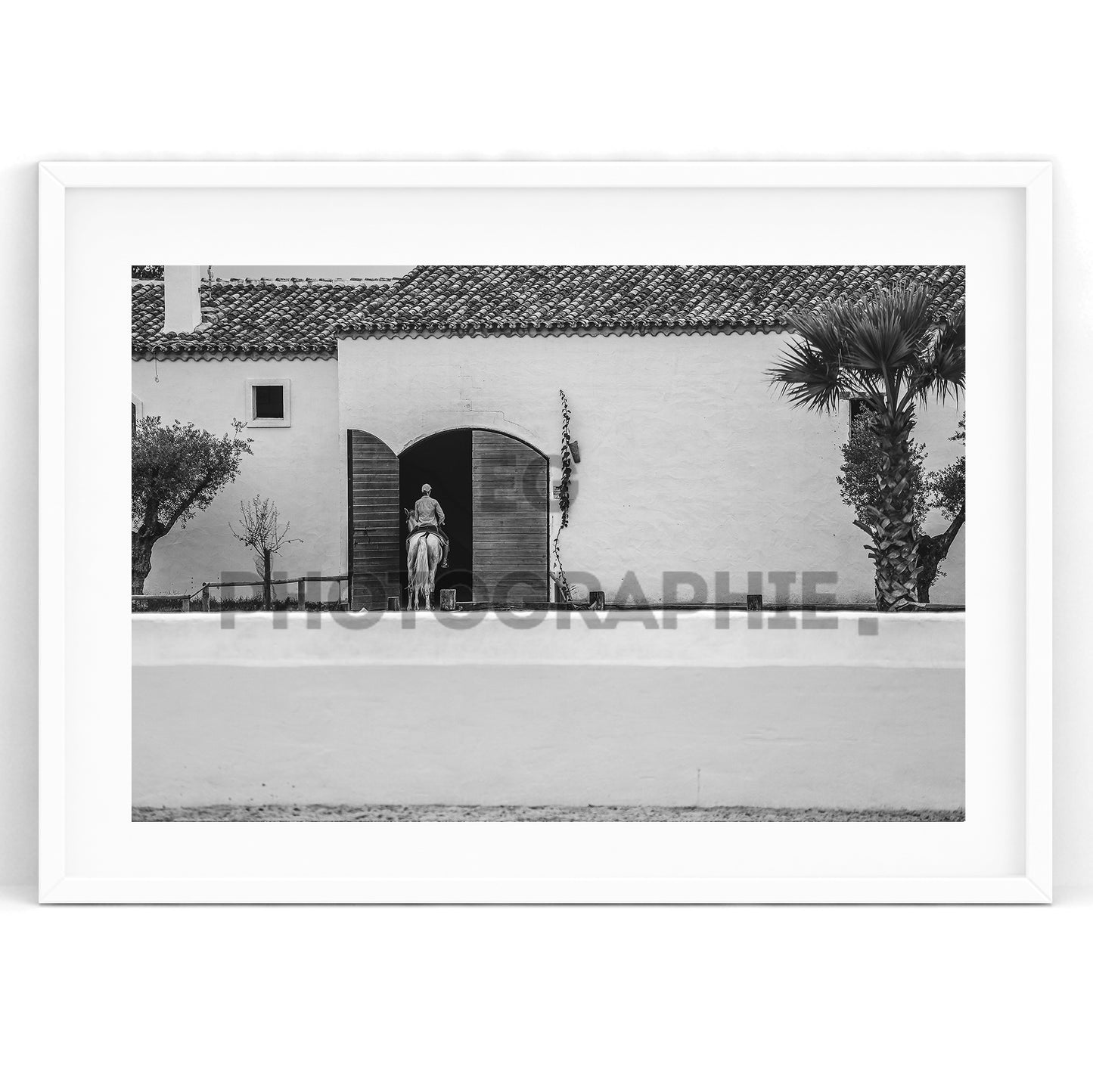 Lea Vicens