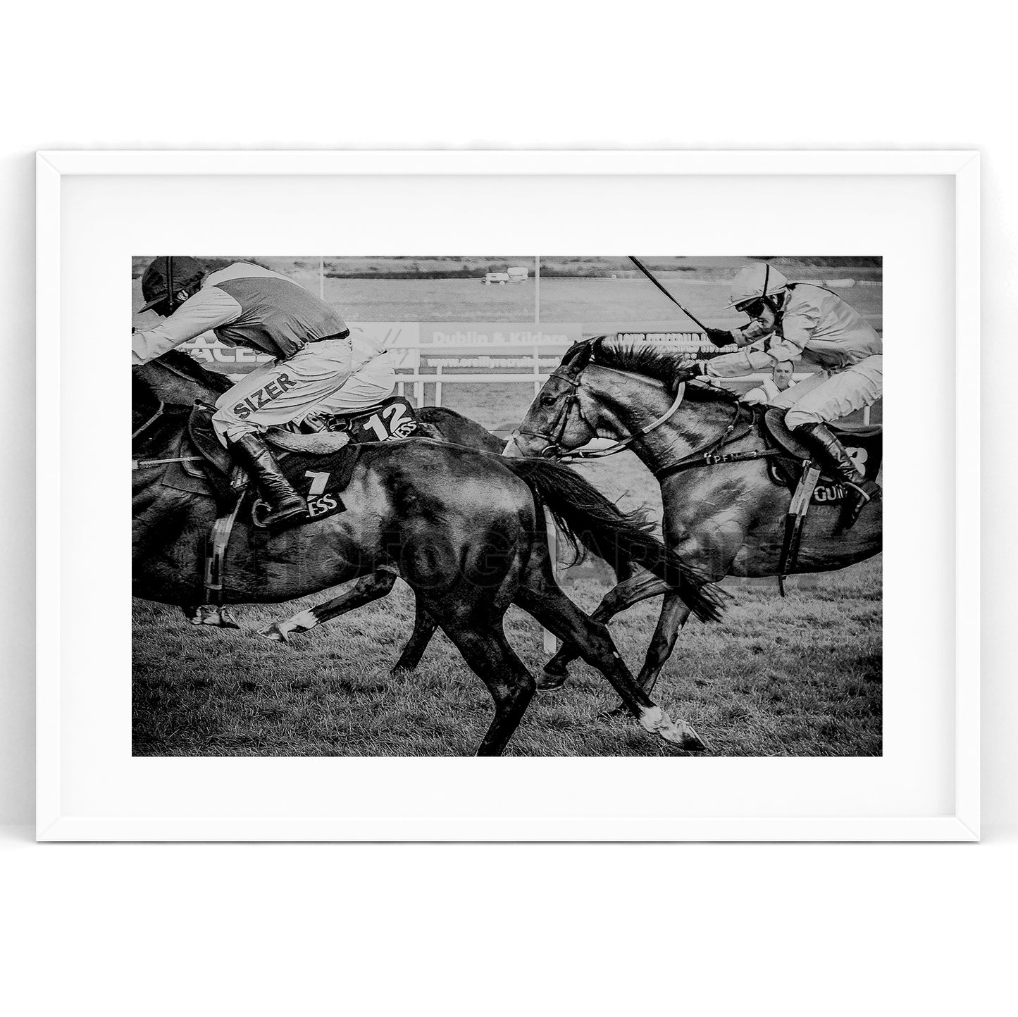 The Curragh