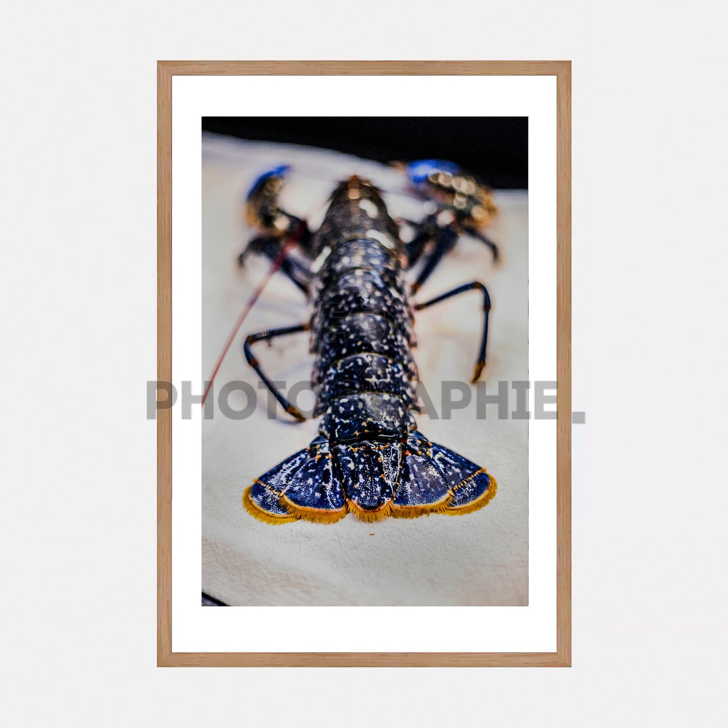Homard Bleu