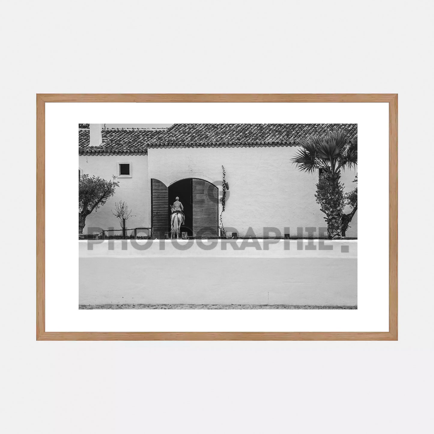 Lea Vicens