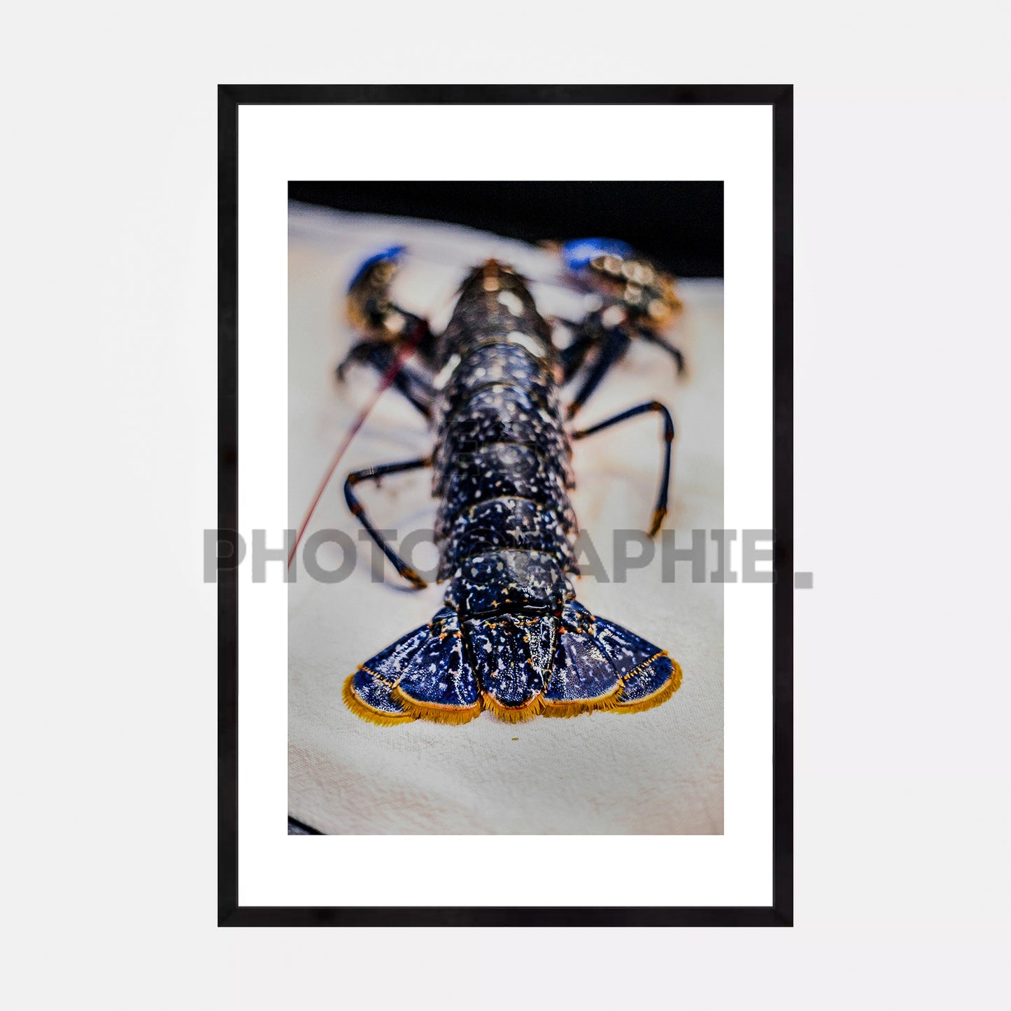 Homard Bleu