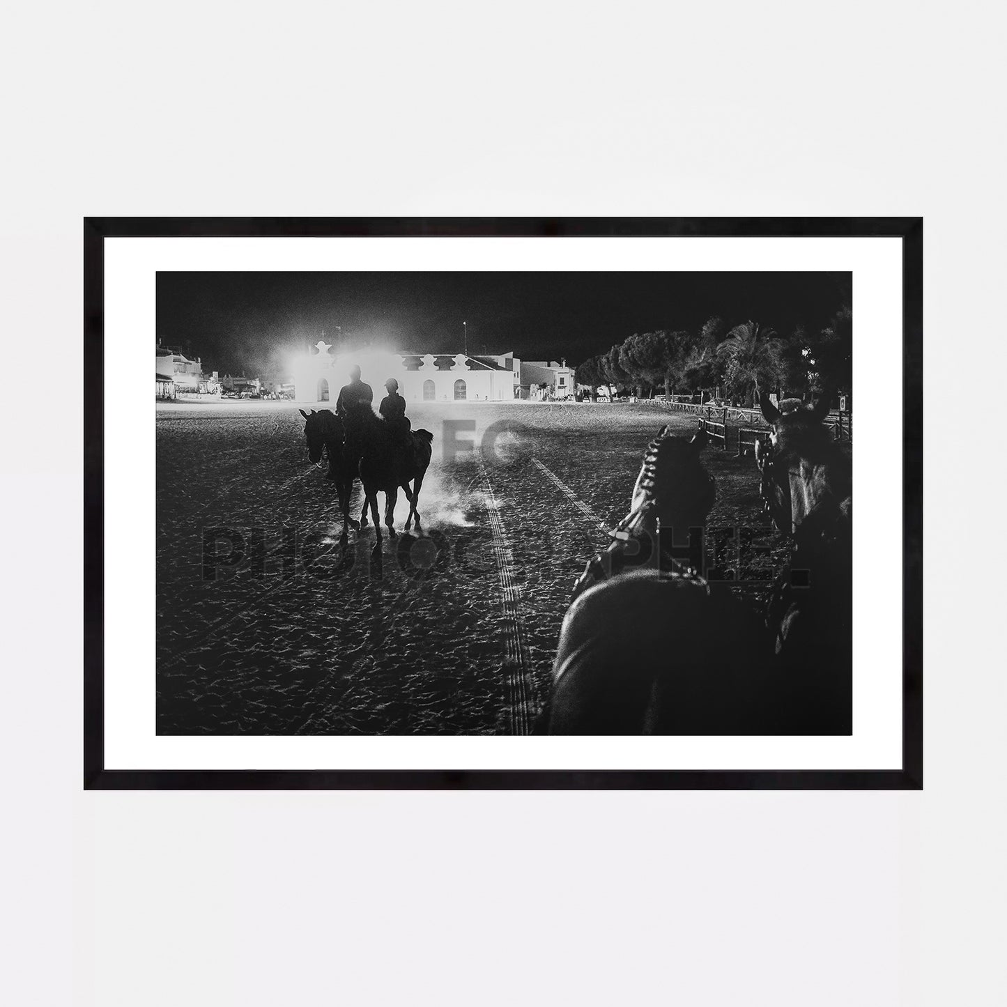 Los caballos