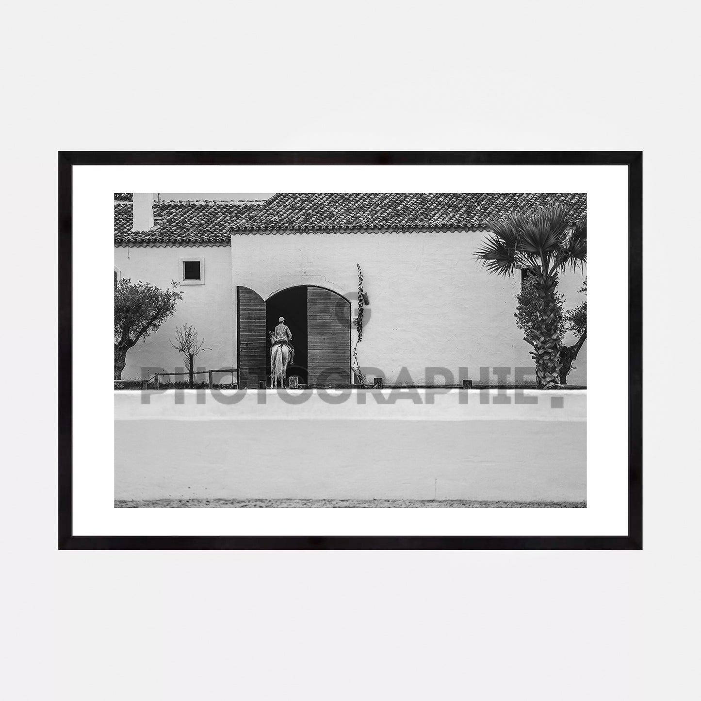 Lea Vicens