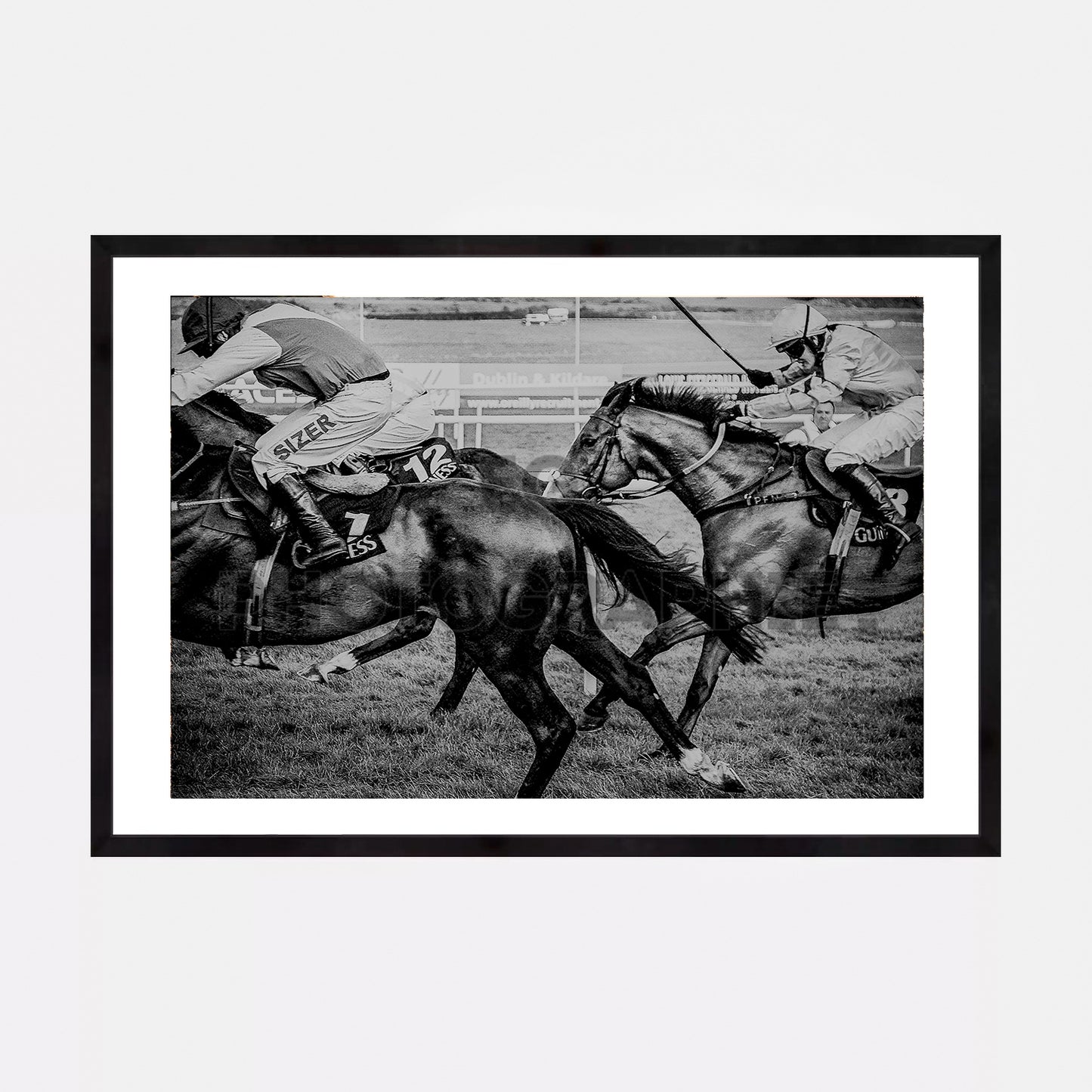 The Curragh
