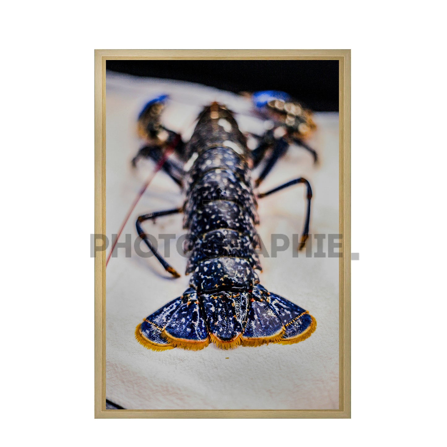 Homard Bleu