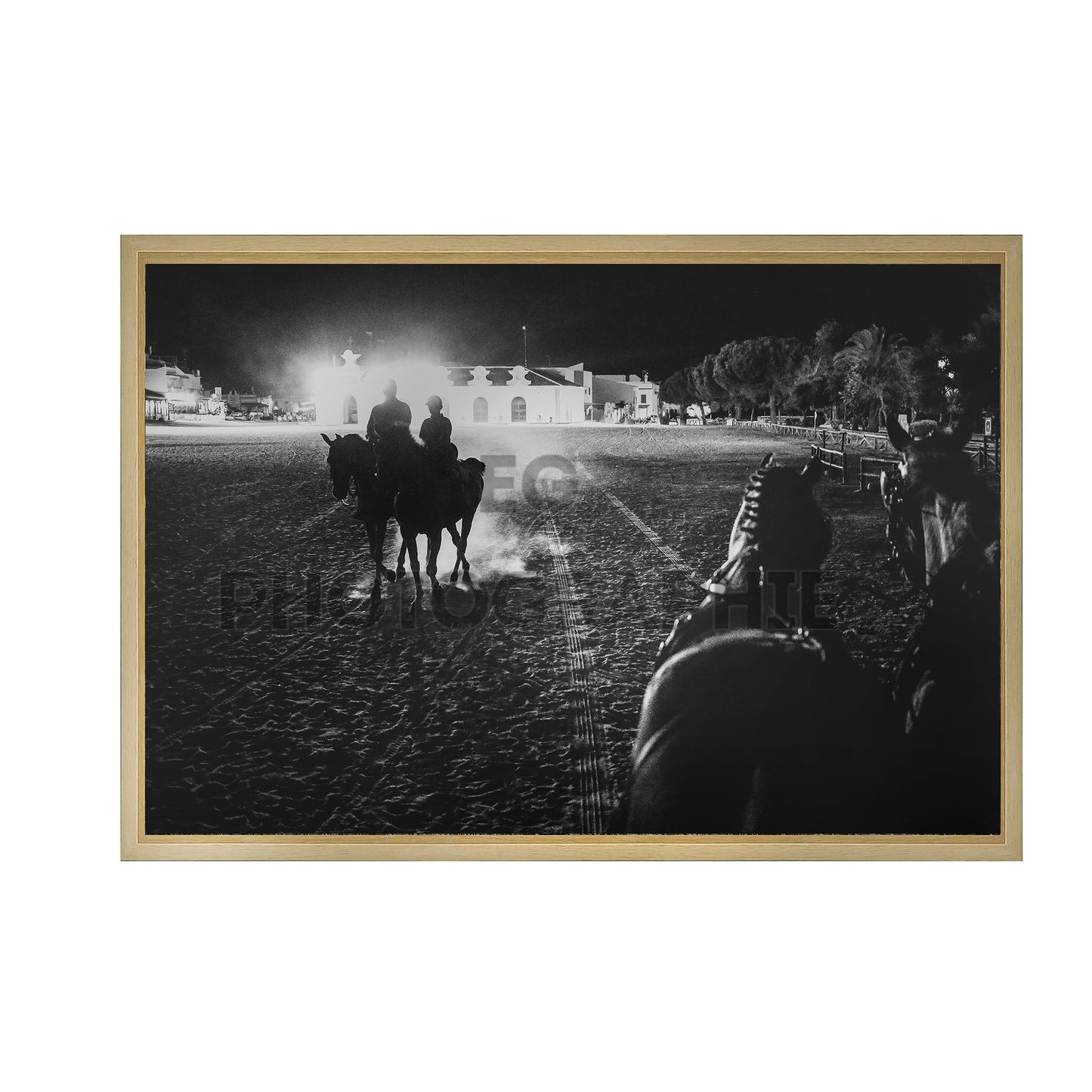 Los caballos