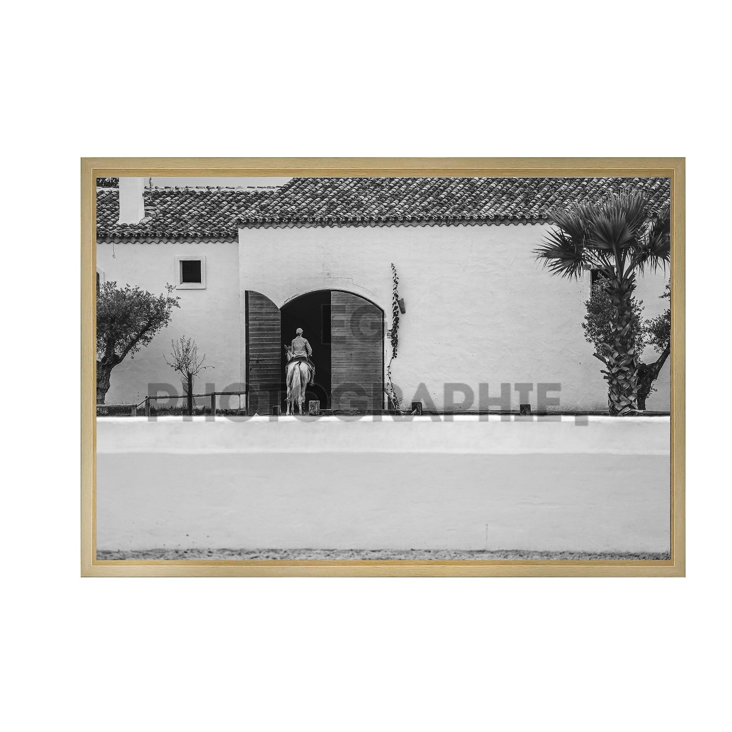Lea Vicens