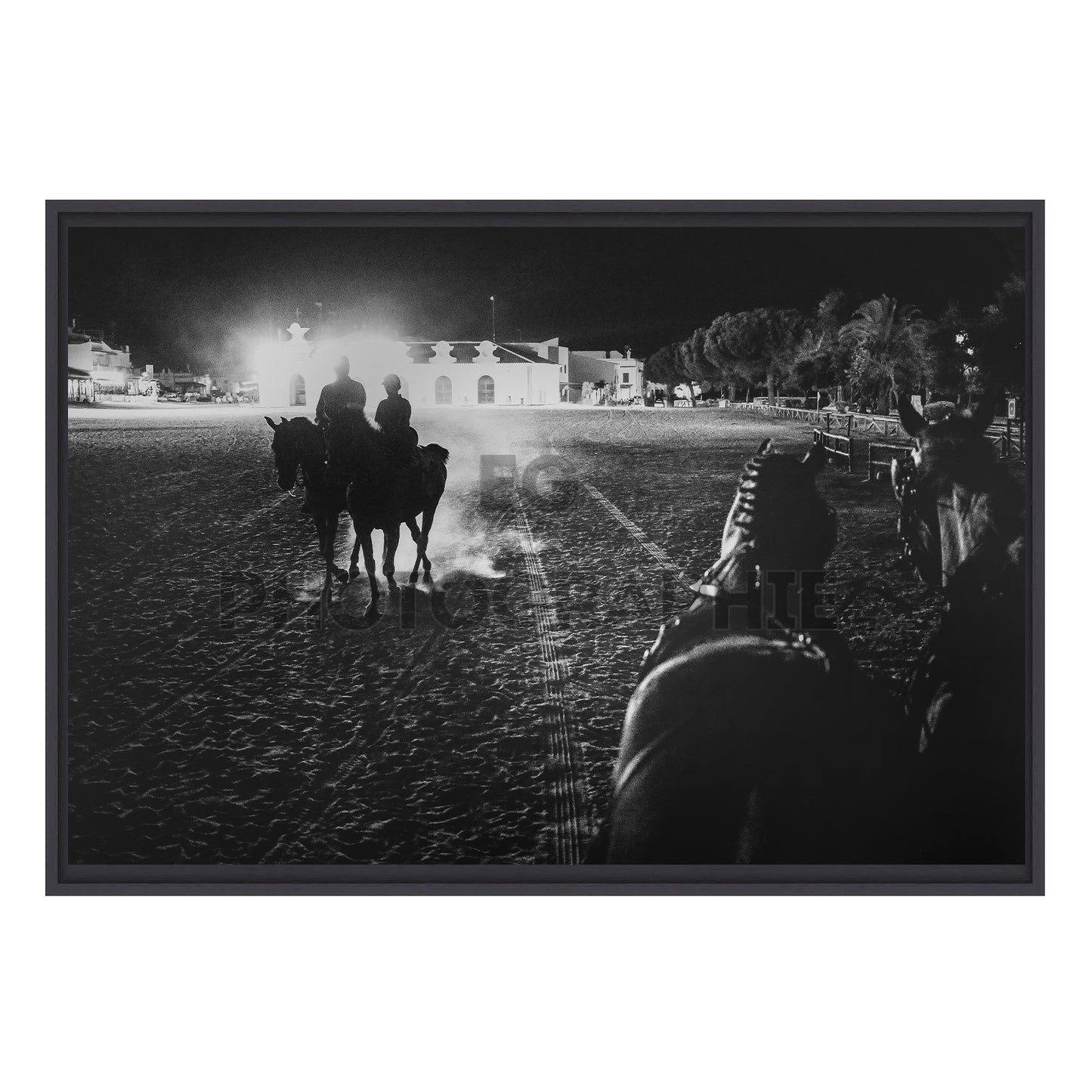 Los caballos