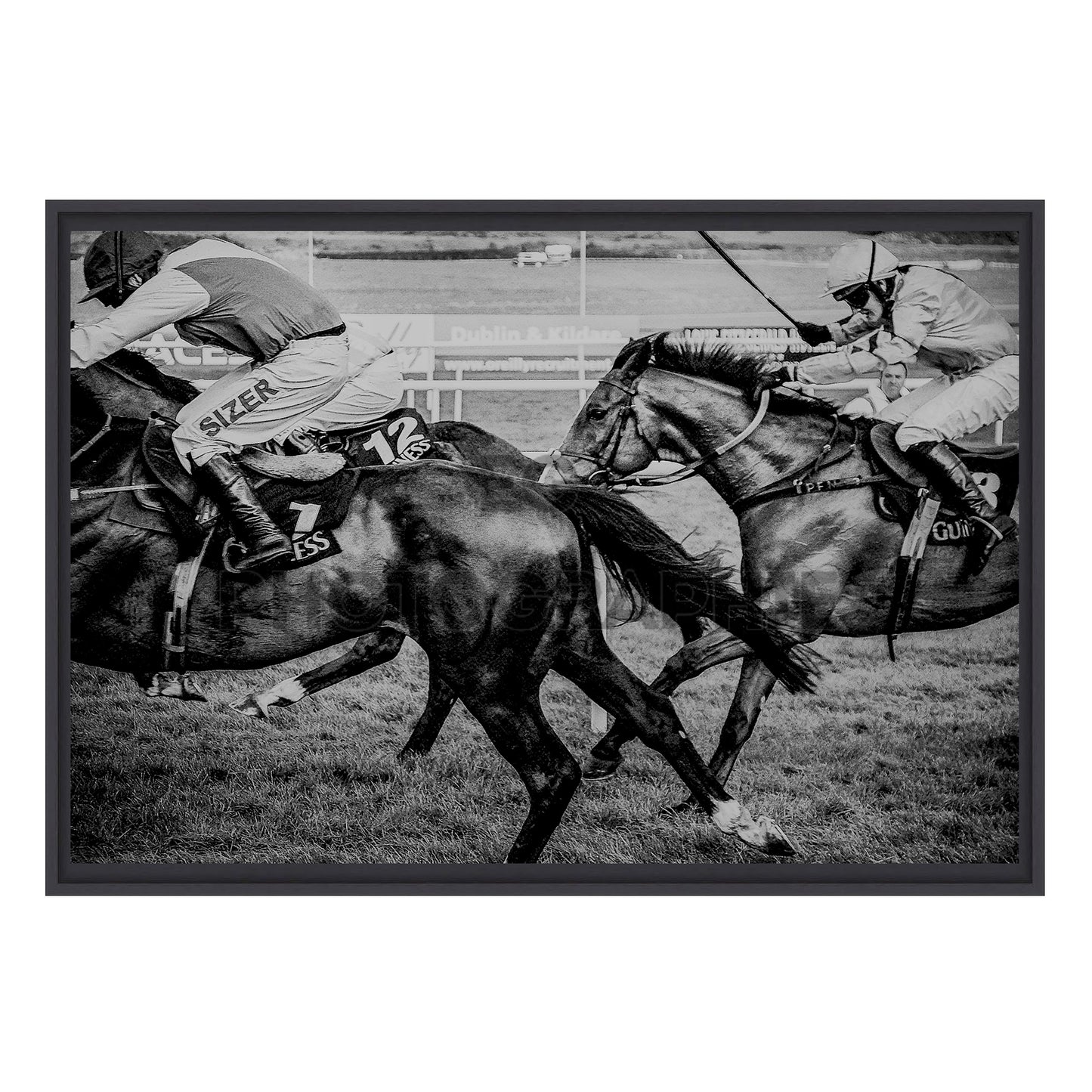 The Curragh