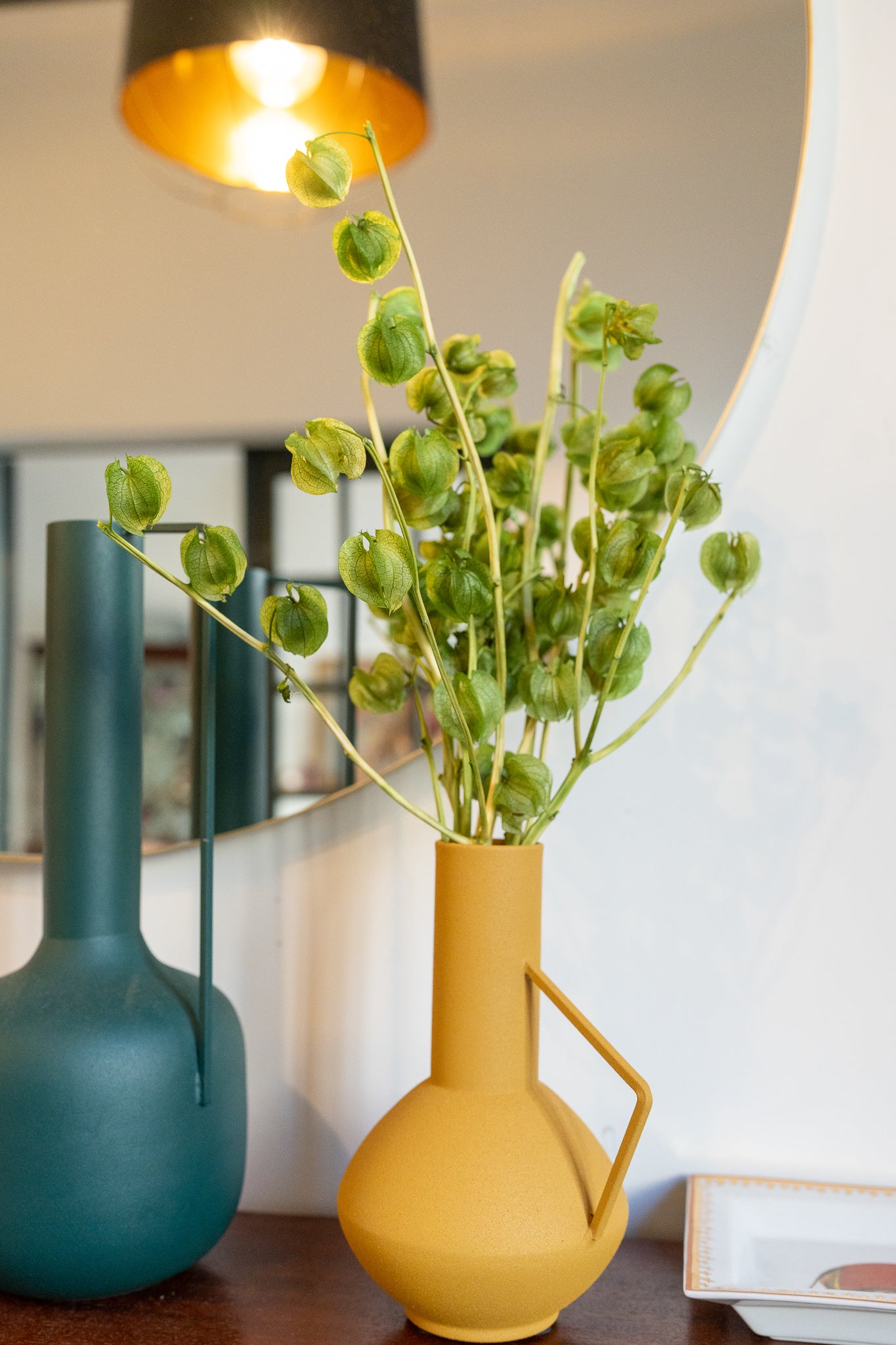 Physalis dans son vase