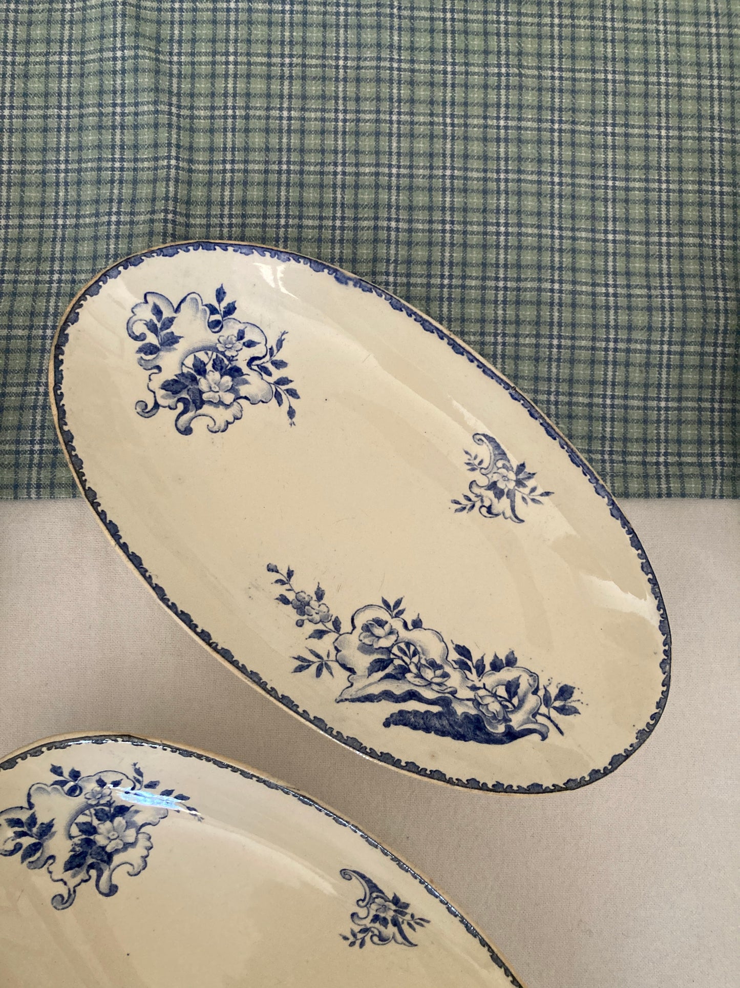 Coquillages - Duo de Raviers