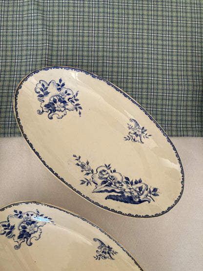 Coquillages - Duo de Raviers