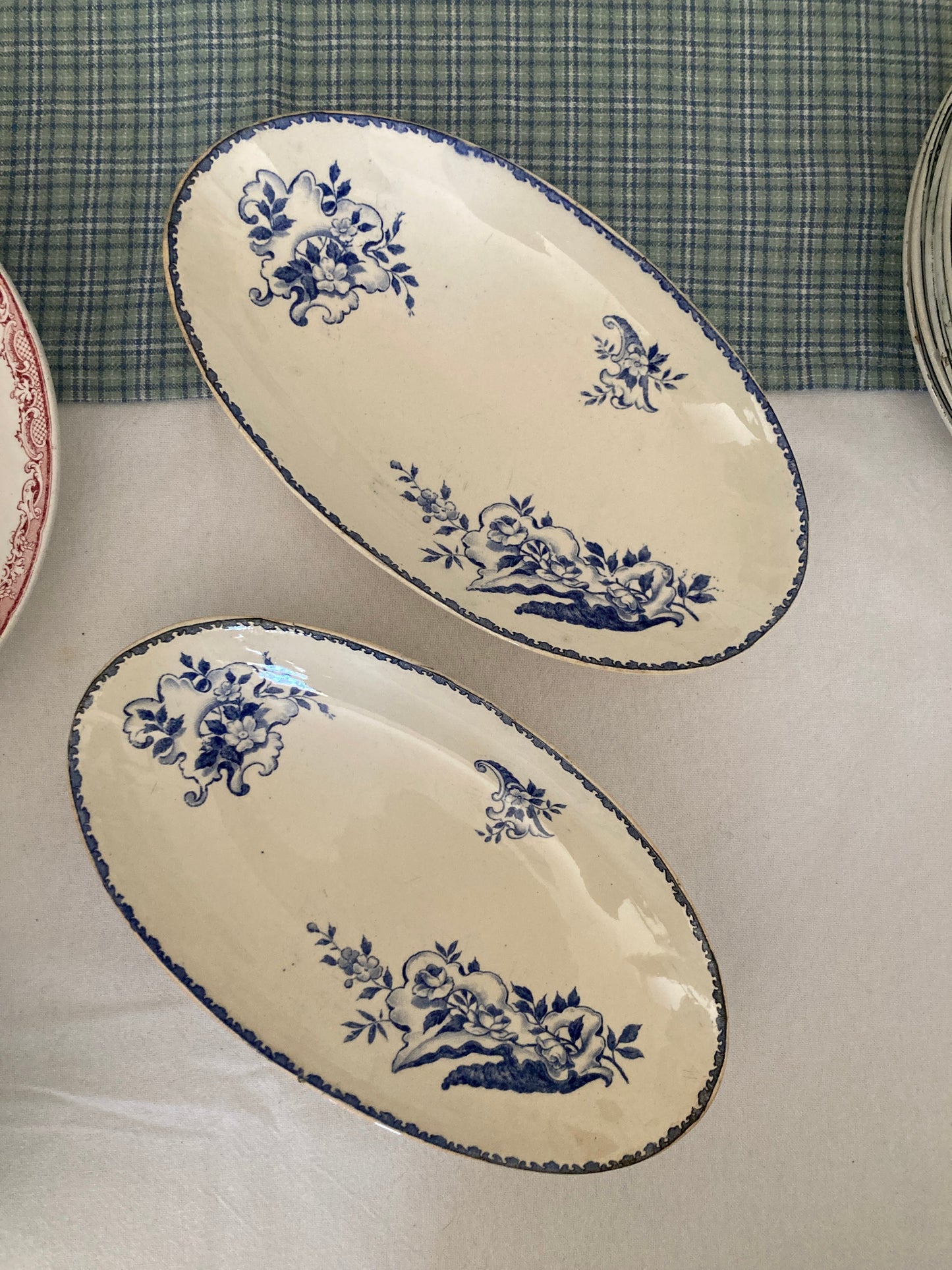 Coquillages - Duo de Raviers
