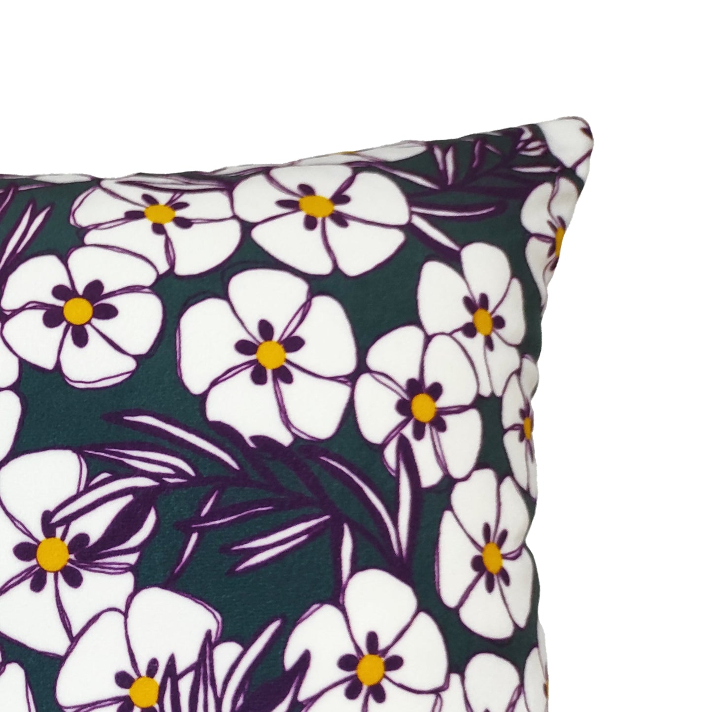 Housse de coussin Cistes