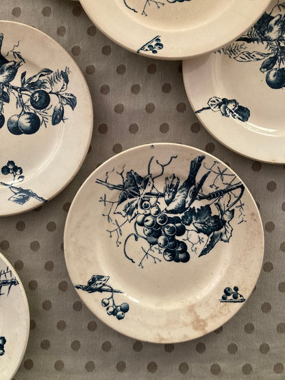 Corneilles - 6 Assiettes A Dessert