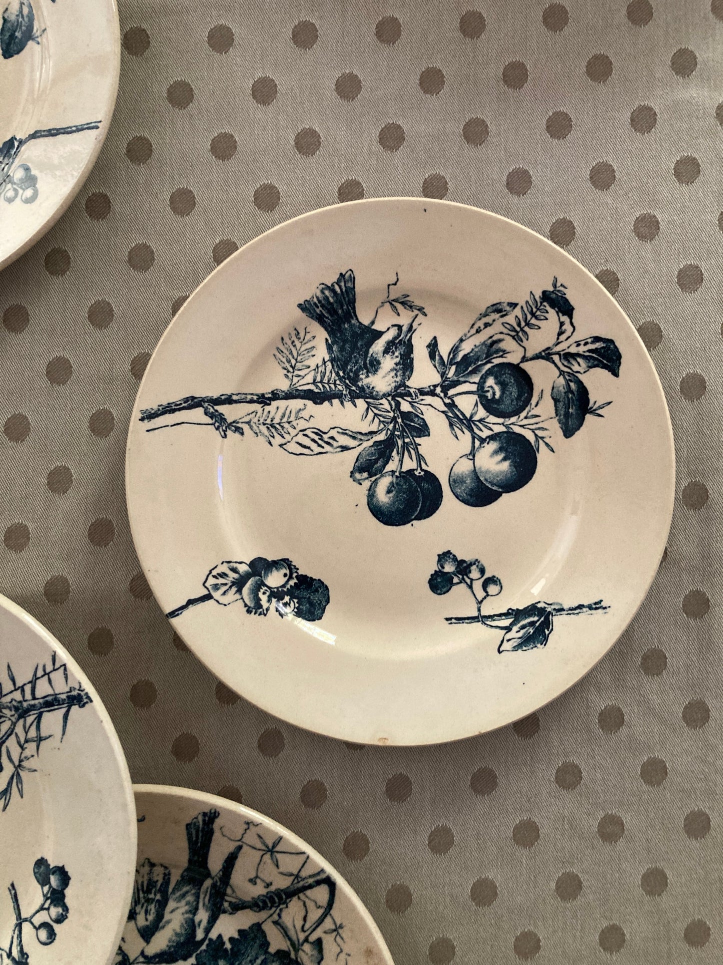 Corneilles - 6 Assiettes A Dessert