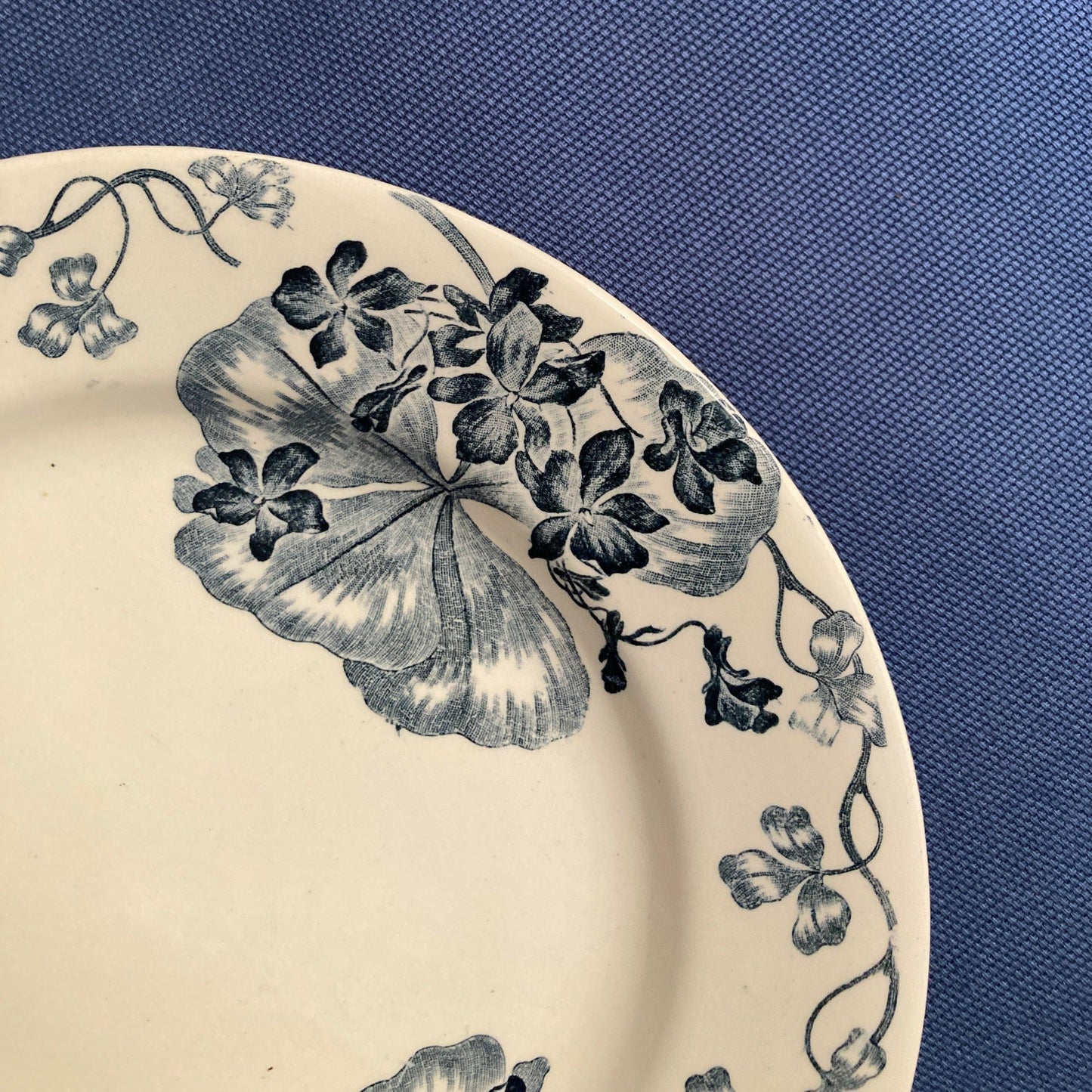 Les Violettes - 6 Assiettes Plates