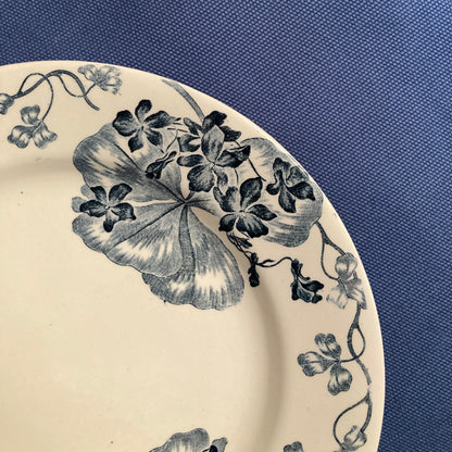 Les Violettes - 6 Assiettes Plates