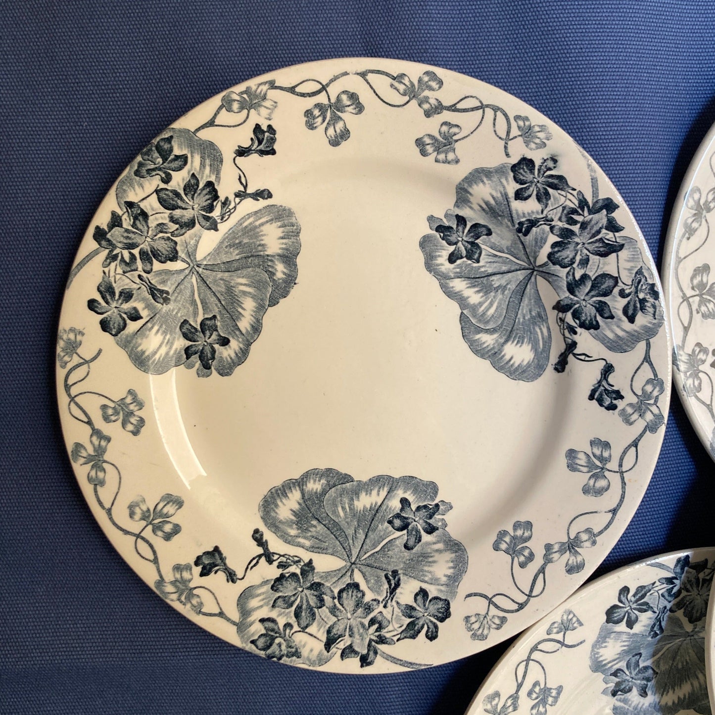 Les Violettes - 6 Assiettes Plates