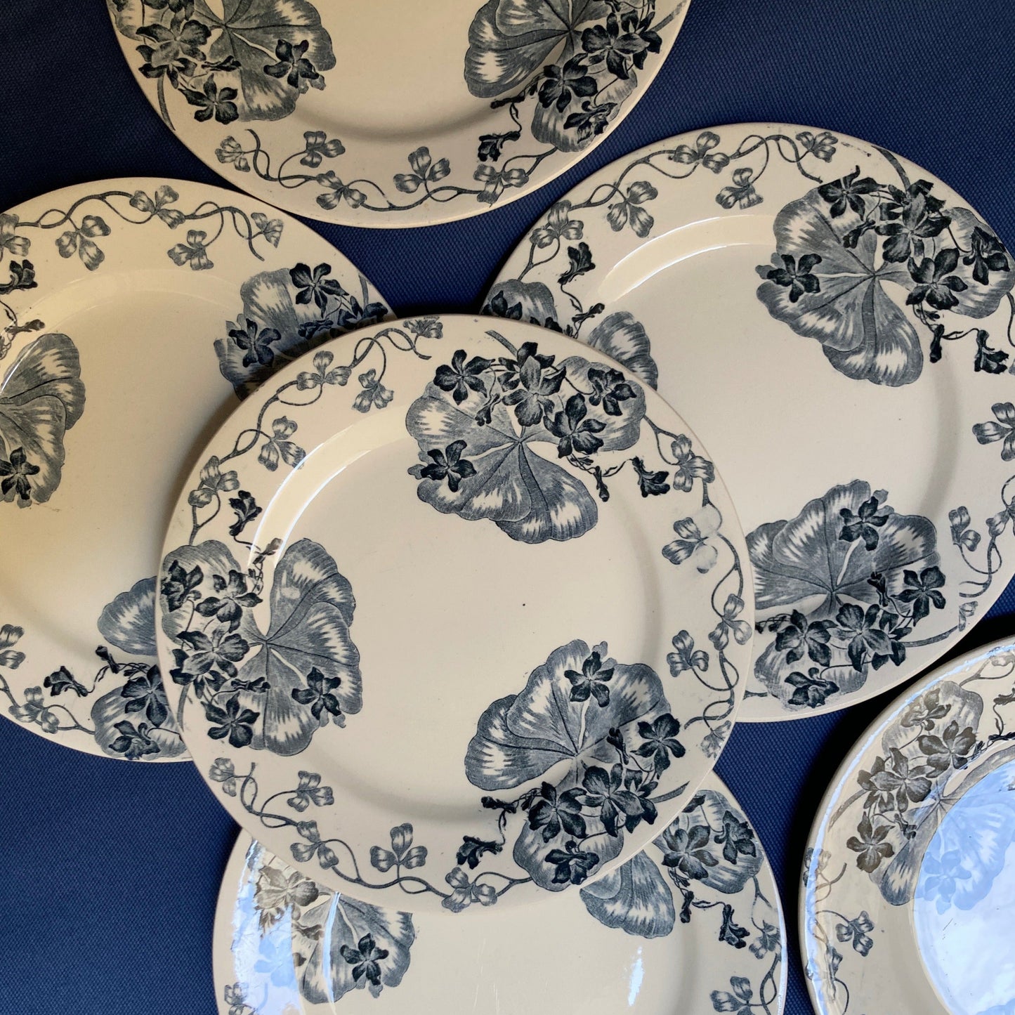 Les Violettes - 6 Assiettes Plates
