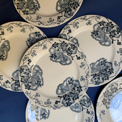 Les Violettes - 6 Assiettes Plates