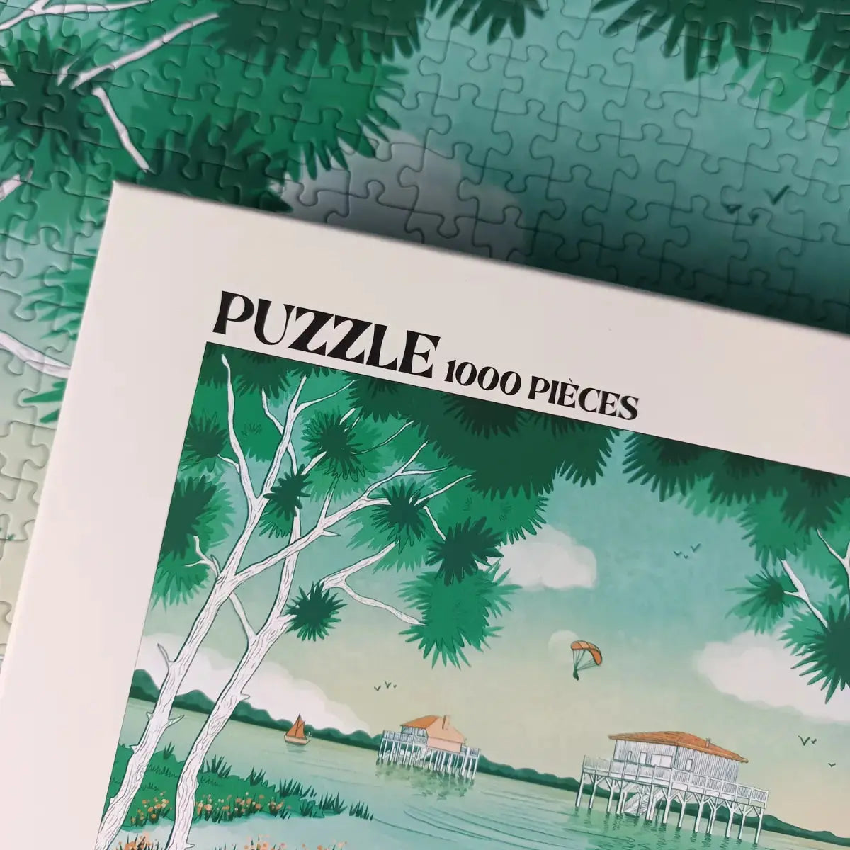 Puzzle 1000 pièces : Bassin d'Arcachon Aparté.
