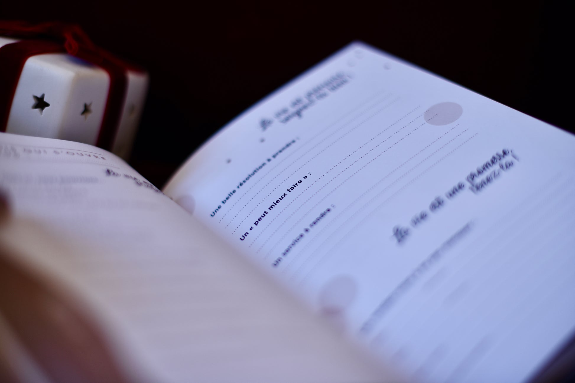 Pages intérieures du carnet 'Viens on s’aime' pour activités de couple.