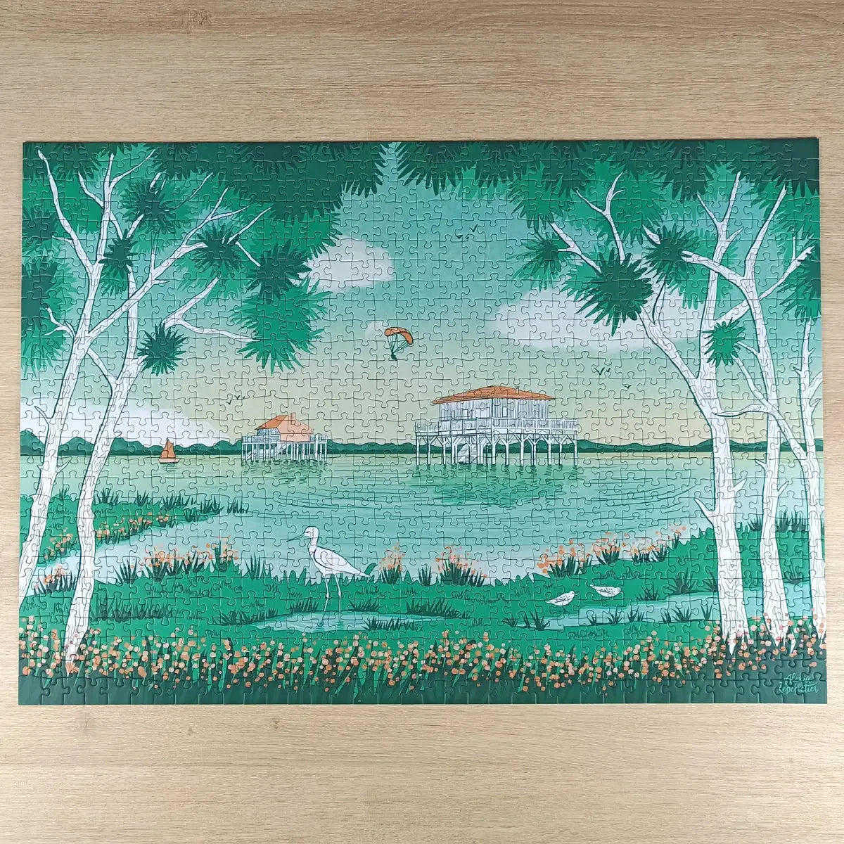 Puzzle 1000 pièces : Bassin d'Arcachon Aparté.